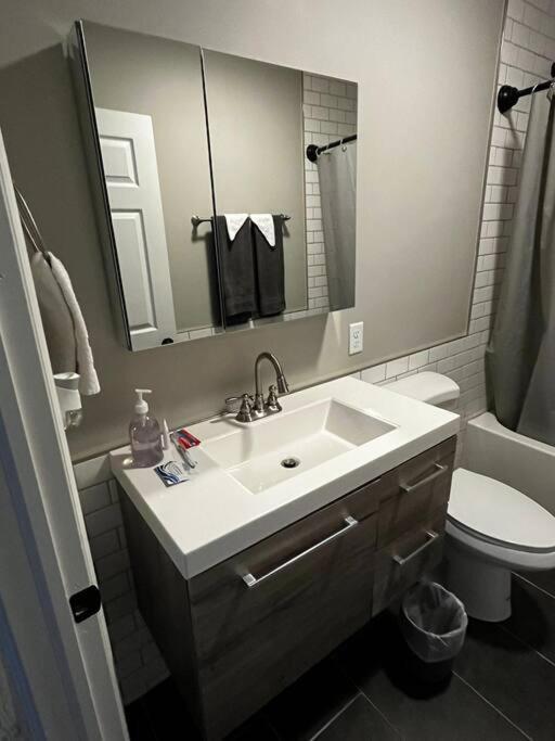 Downtown Albany 1 Bed + Workstation @ Maiden Lane Lejlighed Eksteriør billede