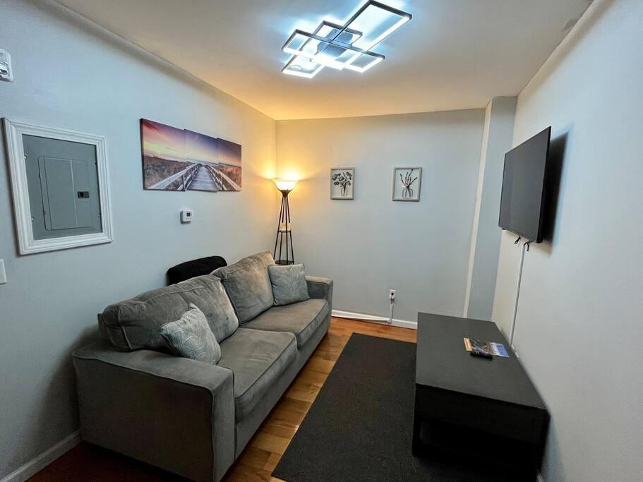 Downtown Albany 1 Bed + Workstation @ Maiden Lane Lejlighed Eksteriør billede